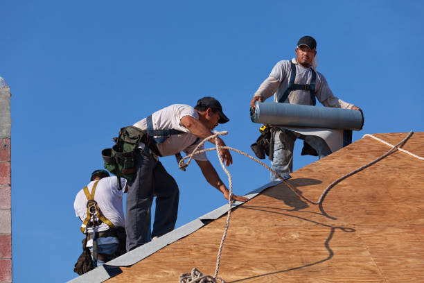 Best Roof Repair Services  in Manistique, MI
