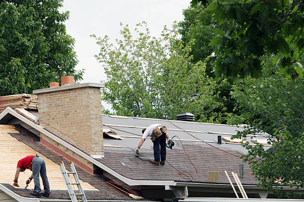 Best Shingle Roofing Installation  in Manistique, MI